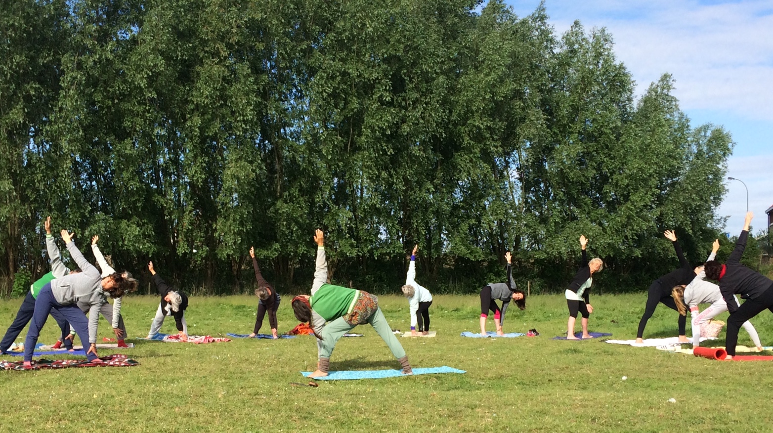 Yogales met een groep cursisten buiten in een weiland